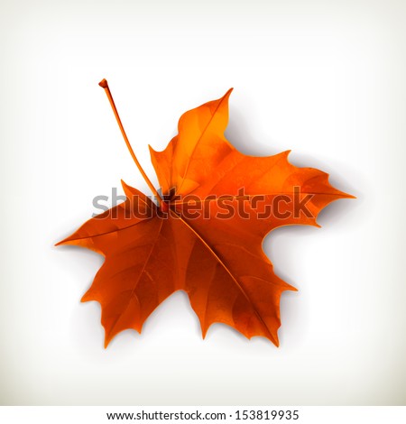 Maple coursework