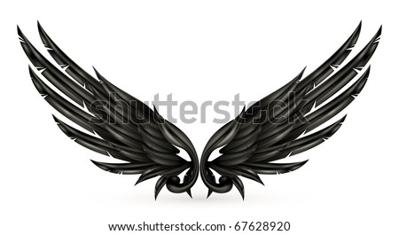 stock wings