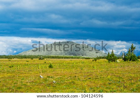 View of tundra and mountain in the Kvarkush plateau. Perm Krai. Russia.