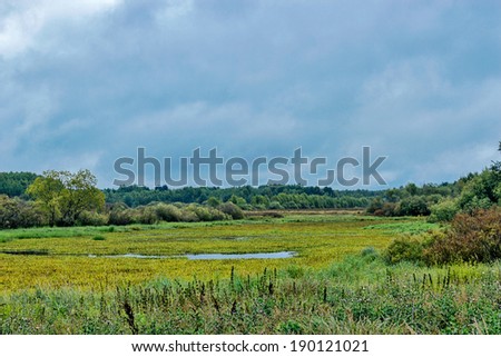Gray clouds and drizzling rain over marshland