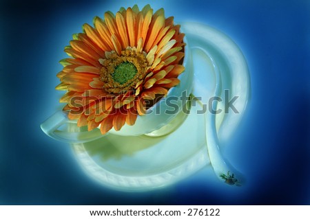 Coffee cup with flower inside and blue background