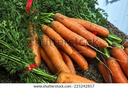 Bunches of fresh carrots at a farmer\'s market.