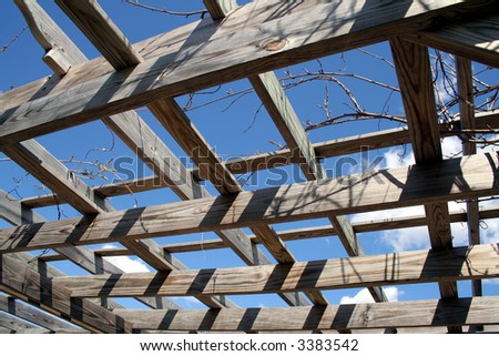 Slated wooden roof of a garden pergola with climbing vines