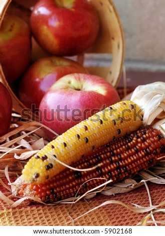 Bushel of red apples with colorful Indian corn