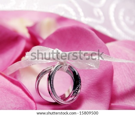 Two wedding bands on a bed of pink rose petals