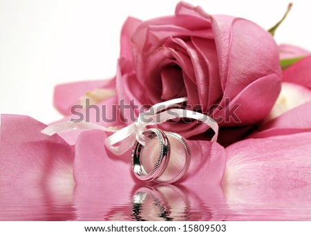 Two wedding bands on a bed of pink rose petals with water reflection
