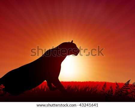 Animals At Sunset