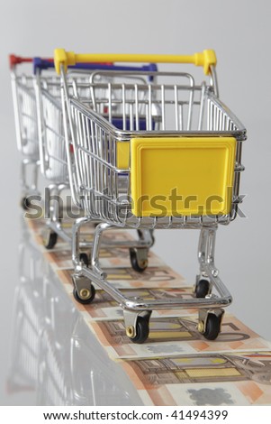 Mini shopping carts in a row standing on a line of euro banknotes on white background
