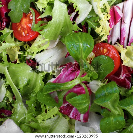 healthy fresh vegetarian salad background