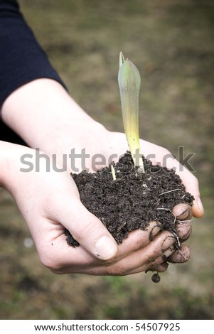 hands holds new sprout with earth