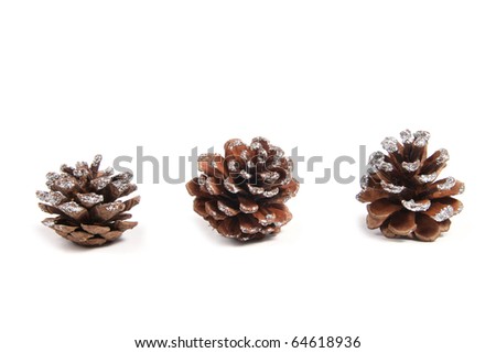 decorative pine cones