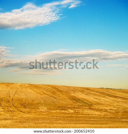 Agricultural landscape with gently sloping hill. Field under the stubble after harvesting grain