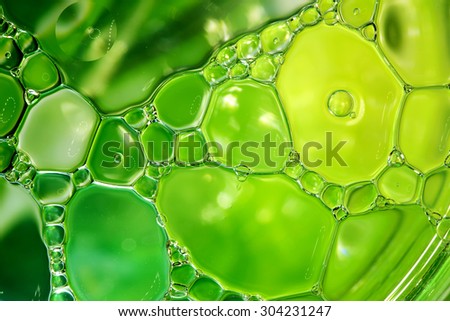 Abstract background, green oil droplets on water surface. Beautiful macro abstraction
