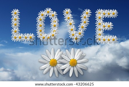 Love flowers composition on sky background