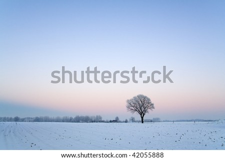 Winter landscape after sunset with clear blue sky.