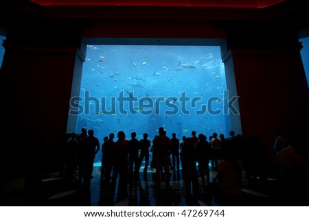 DUBAI, UNITED ARAB EMIRATES - SEPTEMBER 11: Visitors watching the aquarium in the Atlantis Hotel on the Jumeirah Palm island on September 10, 2009 in Dubai, United Arab Emirates