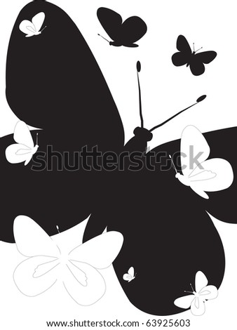 Black And White Butterfly Clipart. stock photo : Black and white