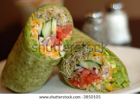 Vegan dish: a wrap with alfalfa sprouts, cucumbers, tomatoes and cheese