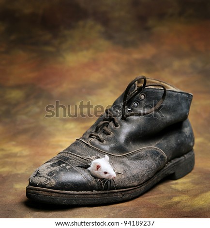 mouse gnawed through a hole in an old shoe