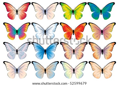 Pics Of Butterflies To Color. Different color variants