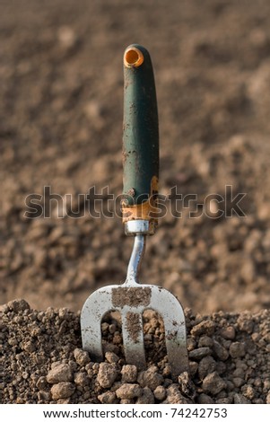 Gardening fork upright in soil.