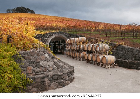 Wine Barrels and the Cave