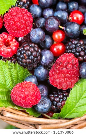 Ripe berries mix closeup shot