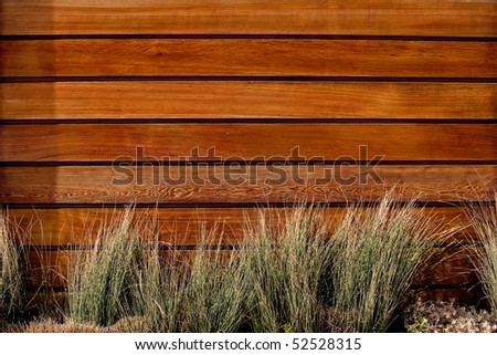 wood texture. wood texture with natural