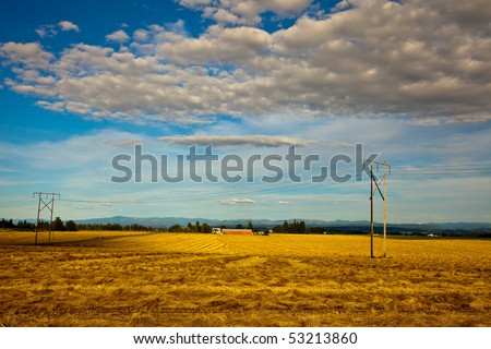 Golden Oregon field. An open, golden agricultural or farm field in Willamette Valley, Oregon, U.S.A.