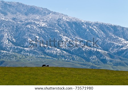 Southern California Landscape.  Sierra Nevada mountain range in Southern California.