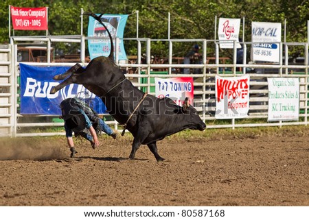 WILLITS, CA - JULY 4: Another rodeo bull rider makes unsuccessful ride at the Willits Frontier Days, California\'s oldest continuous rodeo, held July 4, 2011 in Willits, CA.
