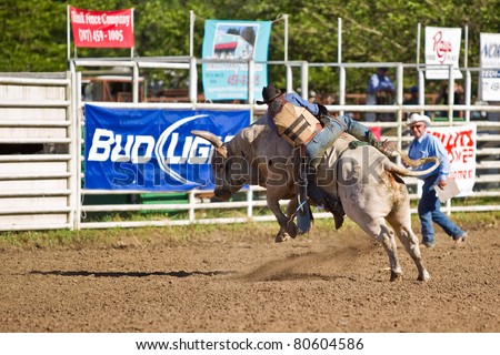 WILLITS, CA - JULY 4: Another rodeo bareback bull rider trying to stay on a twisting bull at the Willits Frontier Days, California's oldest continuous rodeo, held July 4, 2011 in Willits, CA.