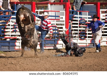WILLITS, CA - JULY 4: Another rodeo bareback bull rider makes unsuccessful ride at the Willits Frontier Days, California\'s oldest continuous rodeo, held July 4, 2011 in Willits, CA.