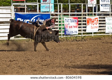 WILLITS, CA - JULY 4: Another rodeo bareback bull rider makes unsuccessful ride at the Willits Frontier Days, California's oldest continuous rodeo, held July 4, 2011 in Willits, CA.