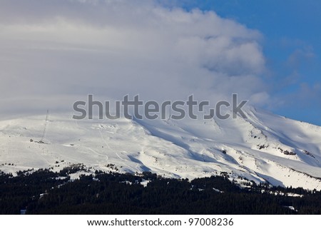 Mount Hood. View of snow capped Mt. Hood with forest in foreground, Oregon, U.S.A.