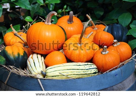 Variety of pumpkins on barrel