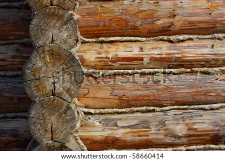 Corner of the wooden house constructed of pine logs