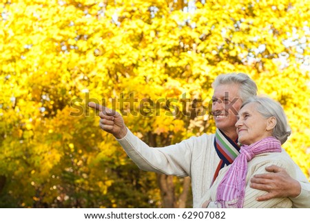 happy elderly couple in a autumn park