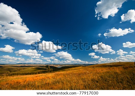 A heaven road over the grassland with blue sky and white clouds.