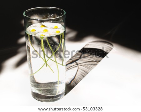 Glass with water and daisy on white table with dark shadow