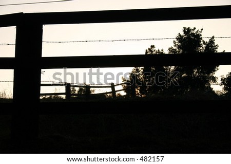 Fence Silhouette