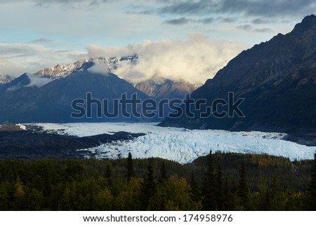 Wide Dusk View of the Matanuska Glacier with forest, Alaska USA