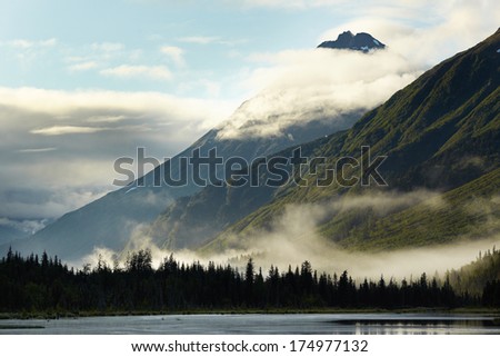 Low Clouds over Forest - Turnagain Arm, Anchorage, Alaska, USA
