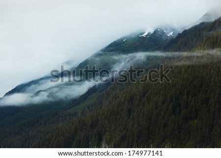 Low Clouds over Forest - Turnagain Arm, Anchorage, Alaska, USA