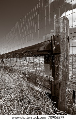 Fence post, monochrome