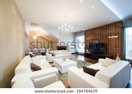 Interior of a spacious living room with fireplace in luxury apartment