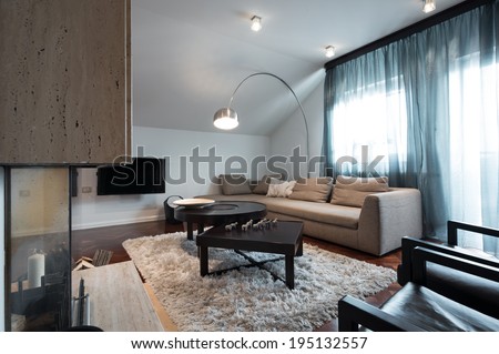 interior of loft apartment - living room with fireplace