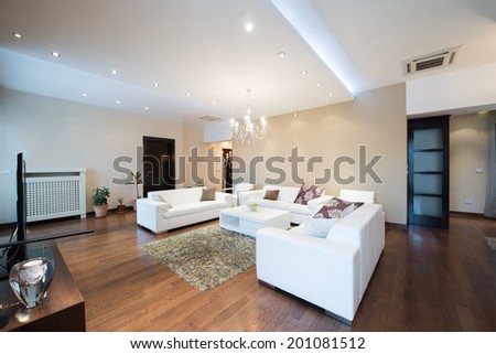 Interior of a modern spacious living room