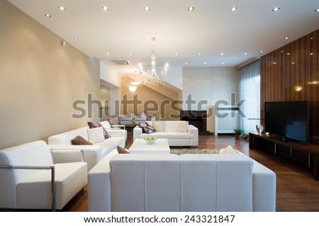 Interior of a spacious living room with fireplace in luxury apartment