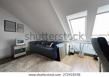Apartment made in the attic